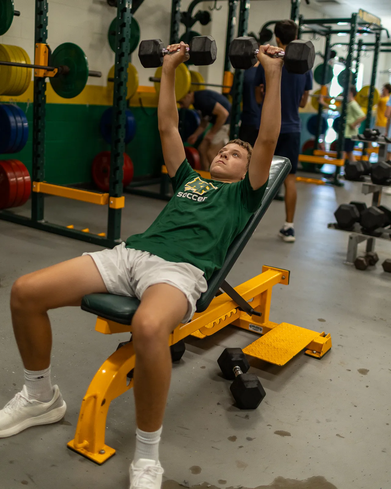 Dumbbell press at the gym